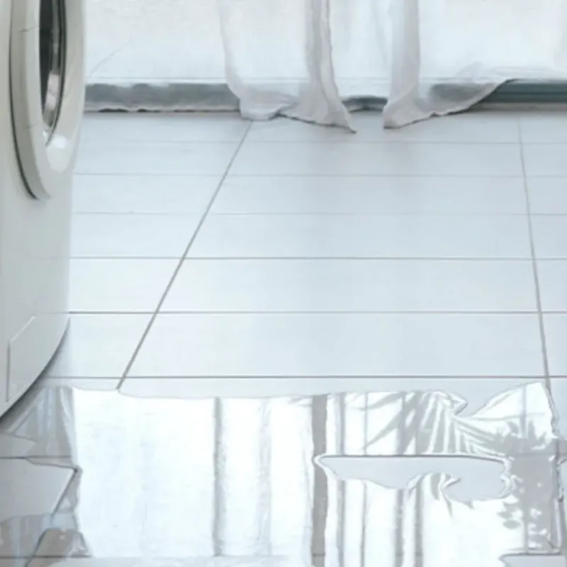Appliance Leak Cleanup in Princeton, NC