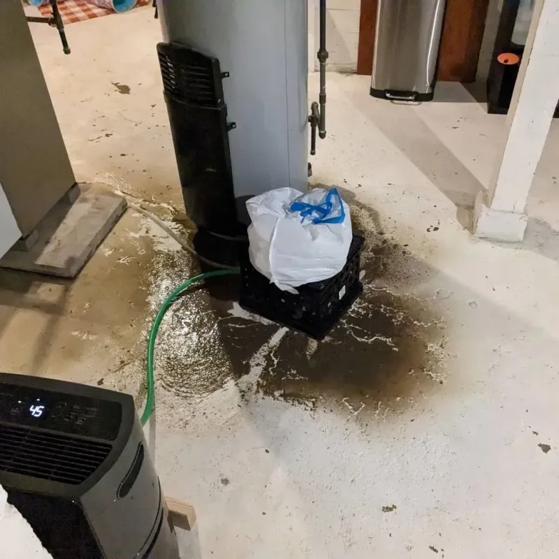 Sewage Backup Cleanup Service in Princeton, NC